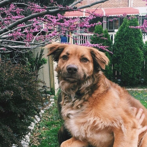 Meet your Posher, Kate - Picture 1 of 1